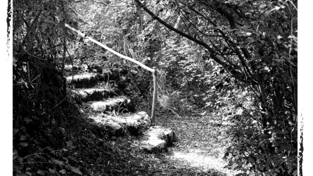Un escalier de pierres illuminé par le soleil, dans la nature, noir et blanc, Audrey Pollet